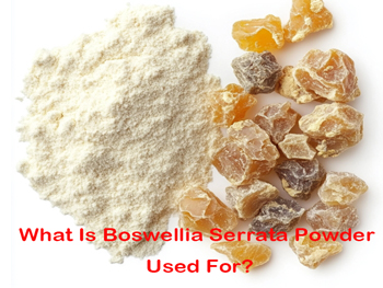 What Is Boswellia Serrata Powder Used For?